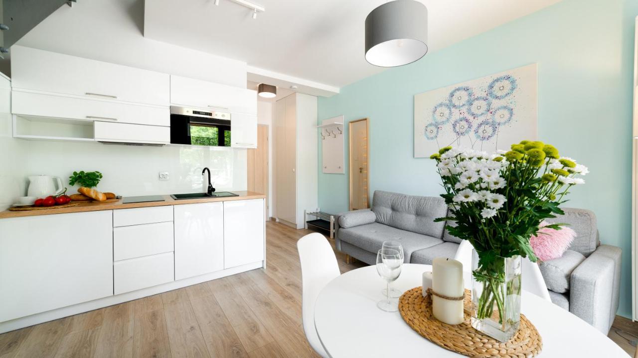 Apartament Sarnia Z Widokiem Na Sniezke 卡尔帕奇 外观 照片