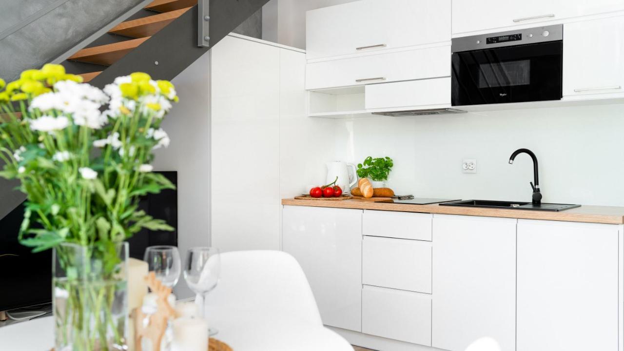 Apartament Sarnia Z Widokiem Na Sniezke 卡尔帕奇 外观 照片